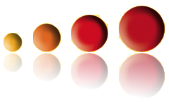 ErgoPlus Herborn - Ergotherapie Praxis Logo, Teil2